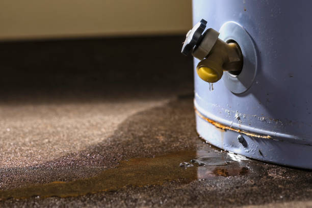 Best Local water damage restoration  in Clinton, WI