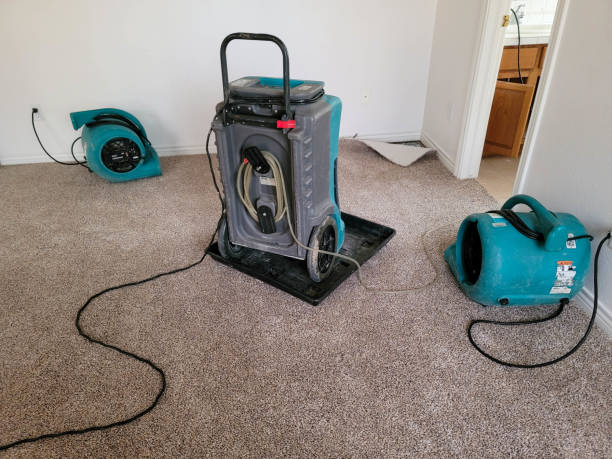 Best Flood restoration services  in Clinton, WI