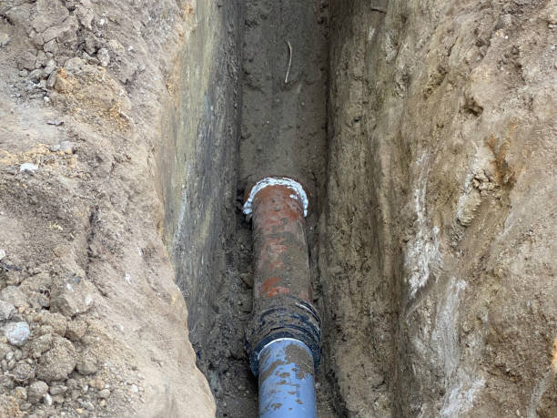 Best Professional water damage repair  in Clinton, WI