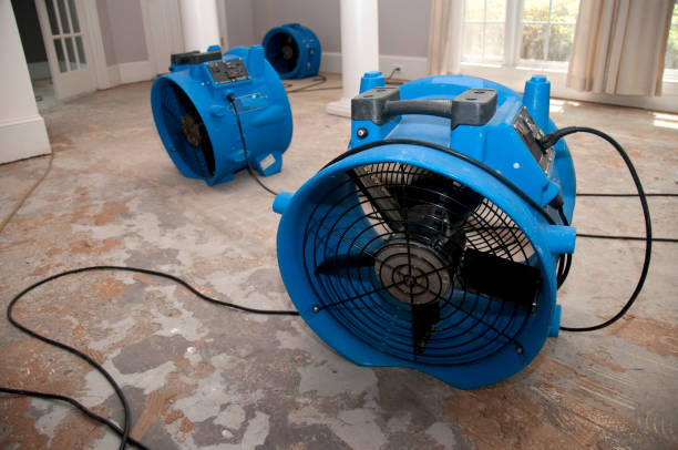 Best Water damage restoration services  in Clinton, WI