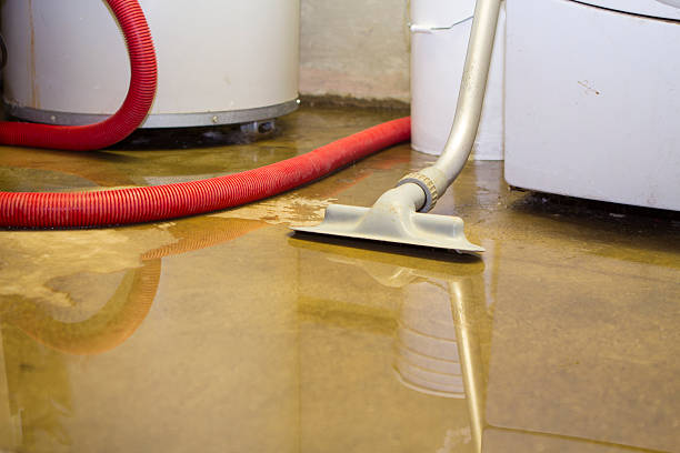 Best Ceiling water damage repair  in Clinton, WI