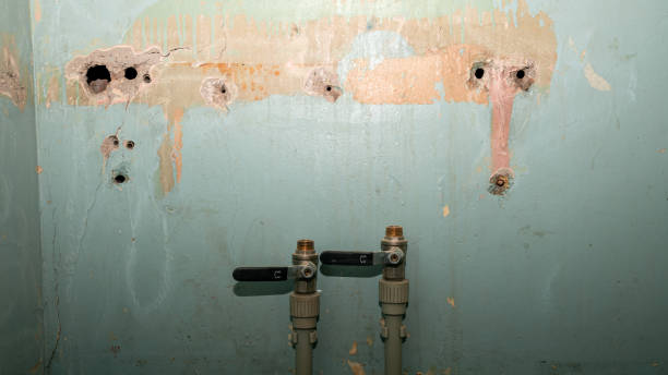 Best Emergency water damage restoration  in Clinton, WI