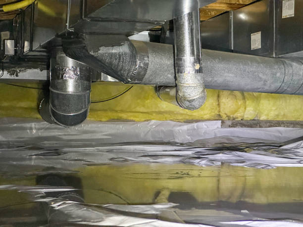 Best Mold removal after water damage  in Clinton, WI